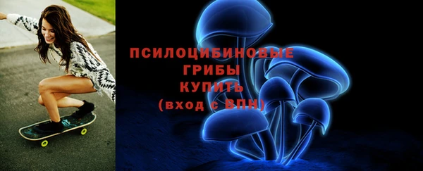 a pvp Ельня