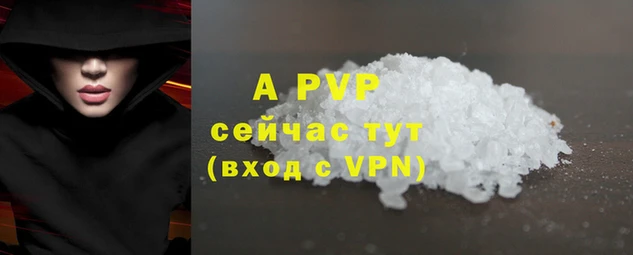 a pvp Ельня