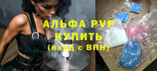 a pvp Ельня